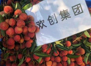 夏日好“枝”味，亚搏集团官网亚搏集团官网亚搏集团官网亚搏集团官网首页-亚搏(中国)
集团发福“荔”啦